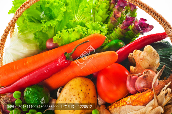 蔬菜-卷心菜；番茄；黃瓜；洋蔥；生菜等