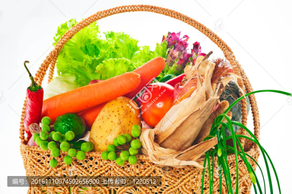 蔬菜-卷心菜；番茄；黃瓜；洋蔥；生菜等