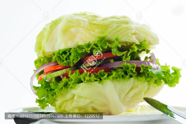 素食漢堡-卷心菜；番茄；黃瓜；洋蔥；生菜