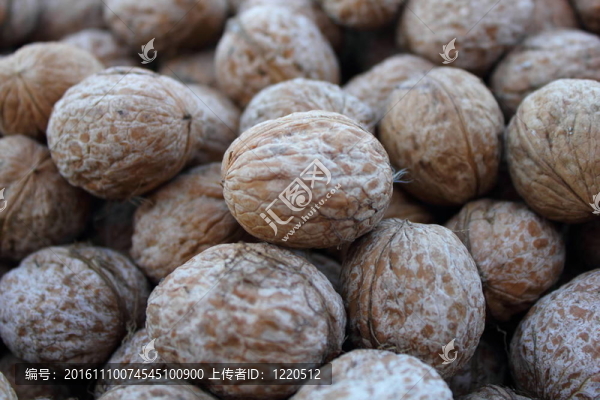 堅果