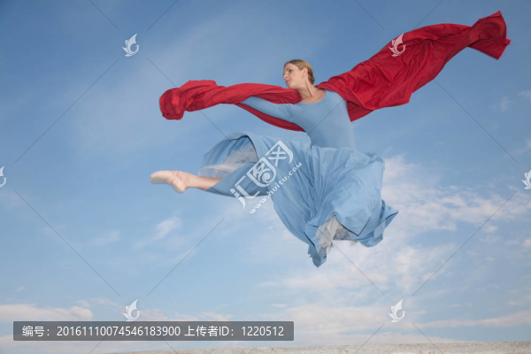飛過天空