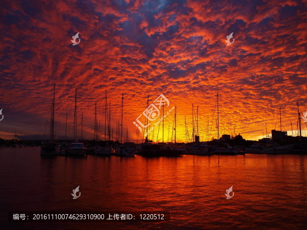 驚人的血紅的夕陽在澳大利亞游艇帆船。