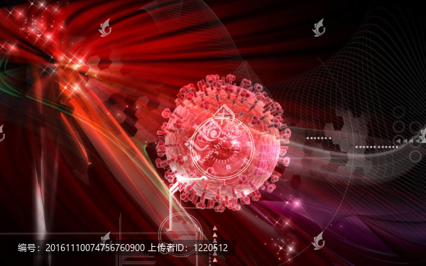 流感病毒