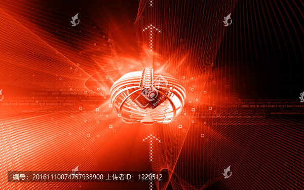 肋骨