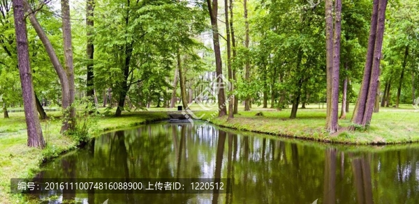 湖