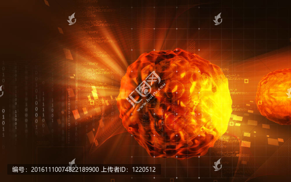 脊髓灰質(zhì)炎病毒