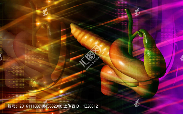 胰腺