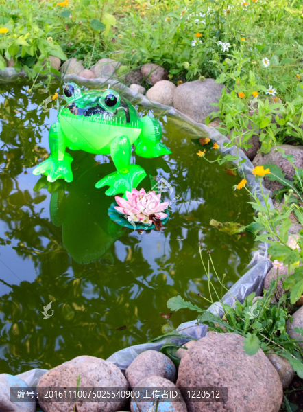 人工池塘