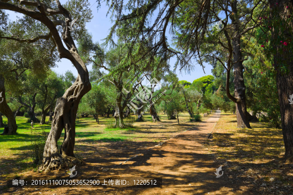 克羅地亞公園路徑