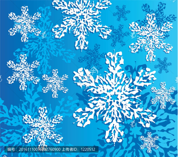 冬天的雪花