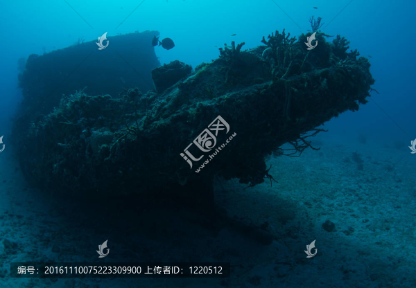 小拖船沉沒(méi)作為人工魚(yú)礁；圖片在布勞沃德縣佛羅里達(dá)州。