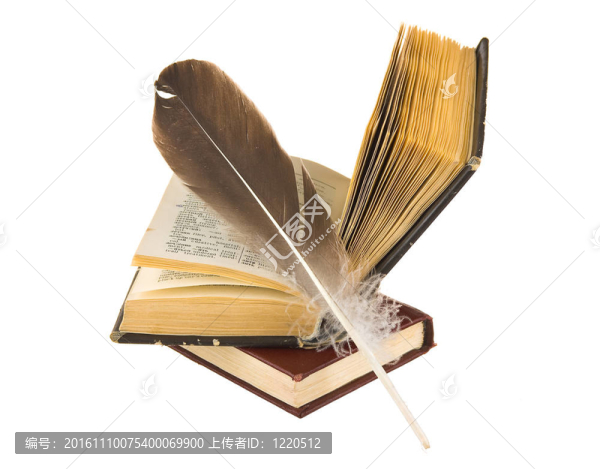 用鋼筆推出了這本書