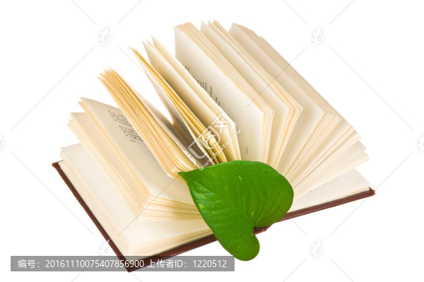 推出了一個(gè)綠葉的書