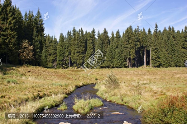 在厄爾士山脈徒步旅行；germany-1