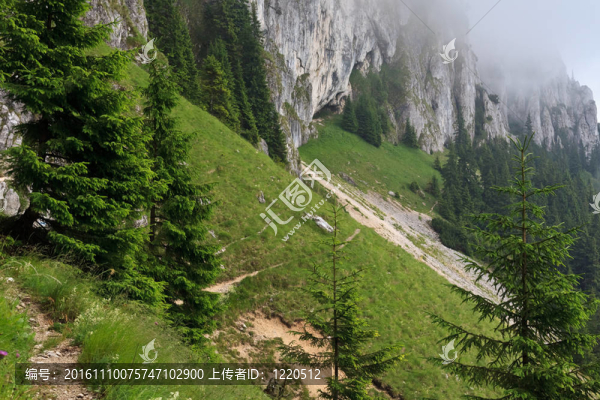 山坡