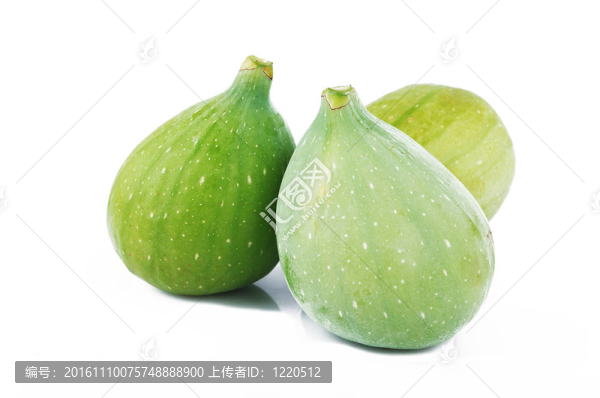 白色背景下的綠無(wú)花果-匯圖網(wǎng) www.fosd68.com 白色背景下的綠無(wú)花果