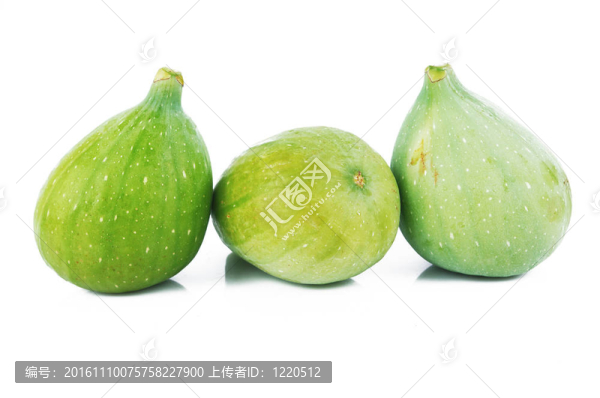 白色背景下的綠無花果