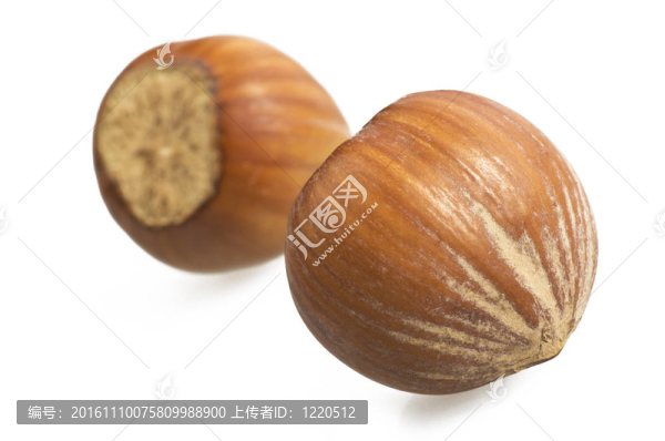 榛子特寫在白