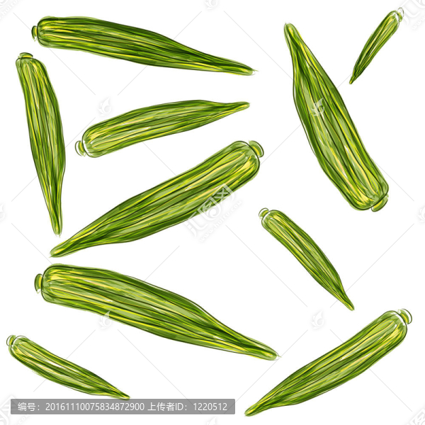 黃秋葵的水彩藝術(shù)