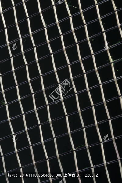 網(wǎng)球拍弦背景-匯圖網(wǎng) www.fosd68.com 網(wǎng)球拍弦背景