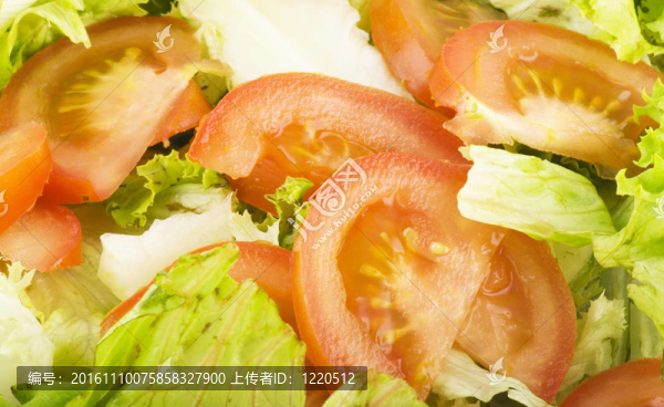新鮮蔬菜沙拉和西紅柿