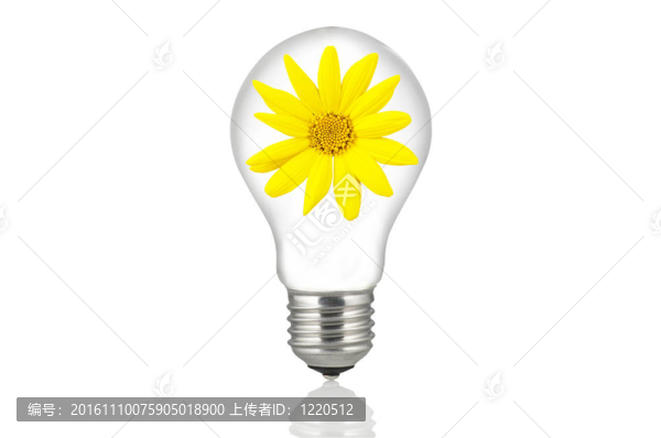 內(nèi)標(biāo)燈