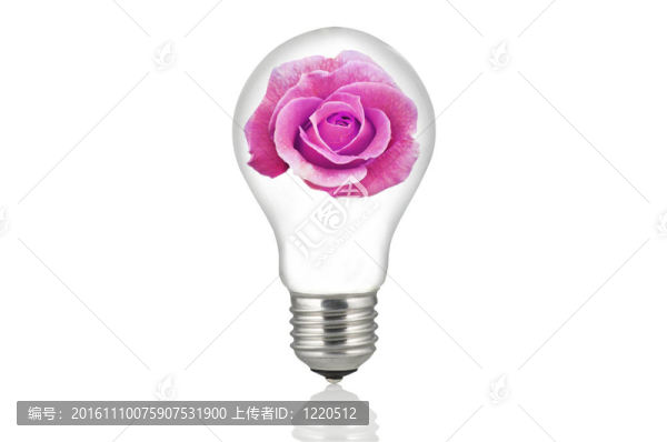內(nèi)標(biāo)燈