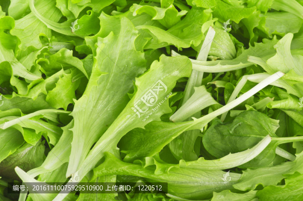 新鮮蔬菜沙拉接近