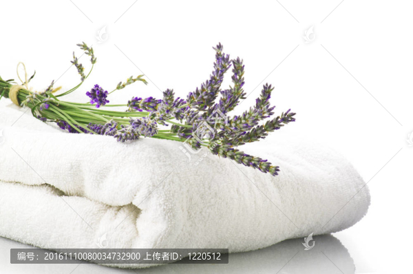 薰衣草花的概念、水療和美容