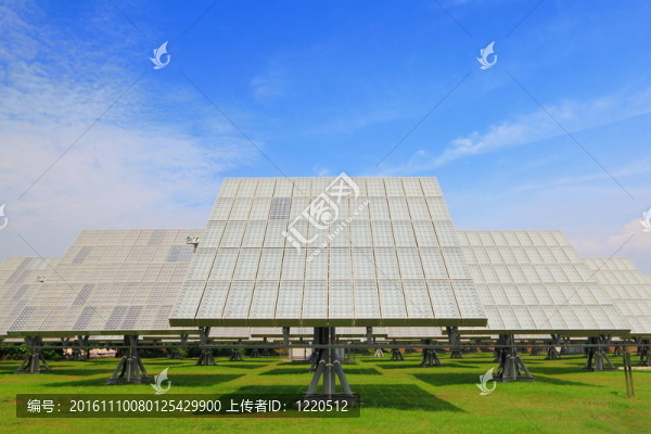 帶綠草的太陽能電池板