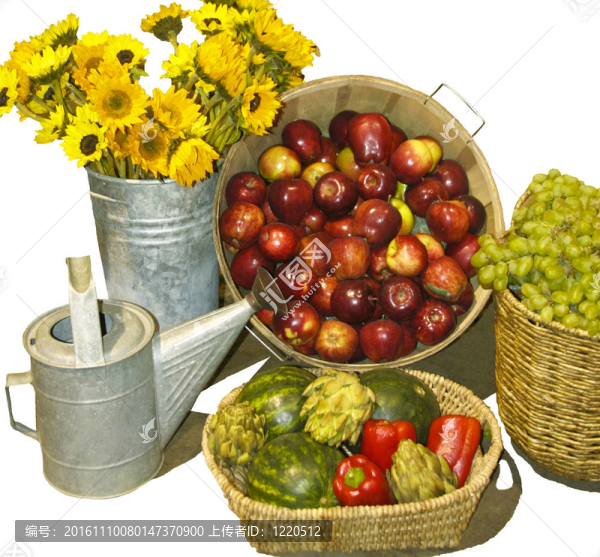 圖grapes_apples_,sunflowers_胡椒園收獲
