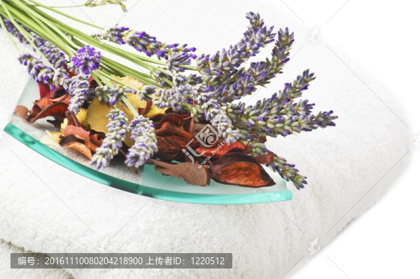 薰衣草花的概念、水療和美容