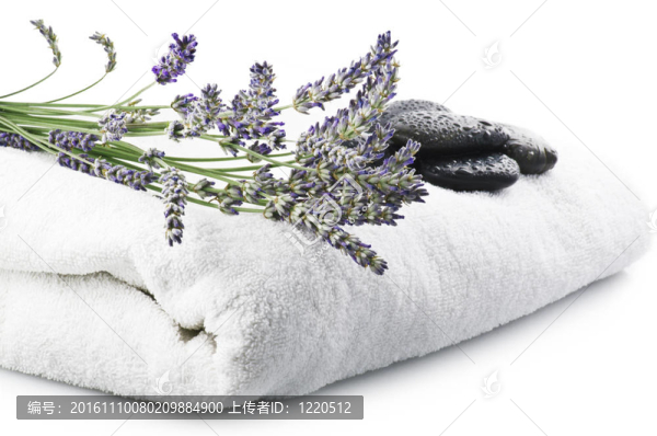 薰衣草花的概念、水療和美容