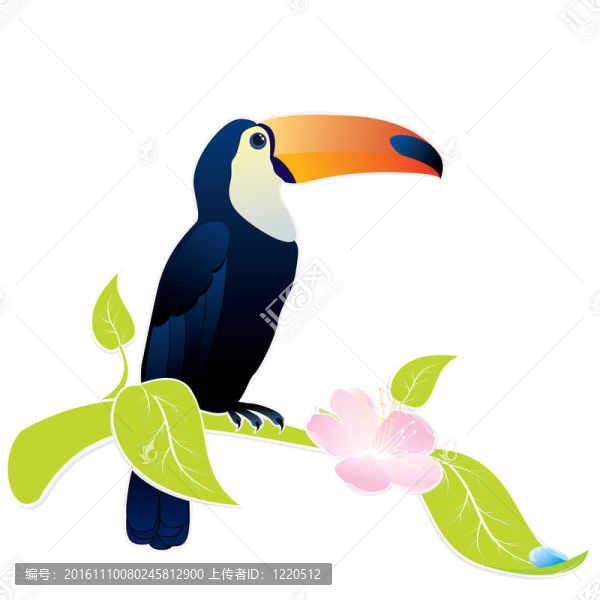 大嘴鳥