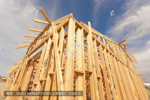 新建筑家庭框架摘要