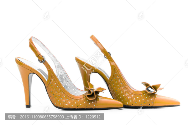 白色背景上的女性鞋