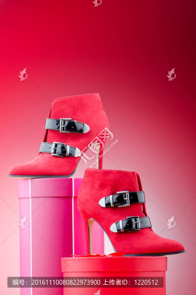 時(shí)尚概念中的女性鞋
