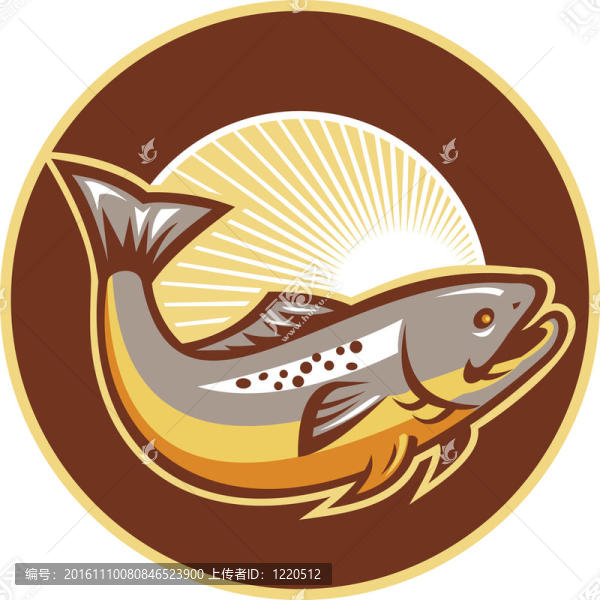 鱒魚跳躍旭日圈