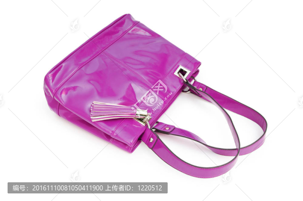 女人配件-時尚的白色的袋子