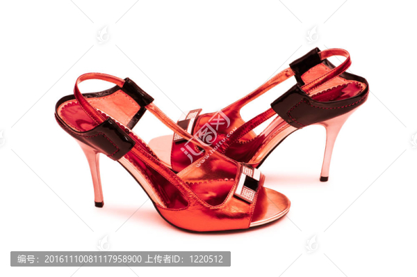 白色背景上的女性鞋