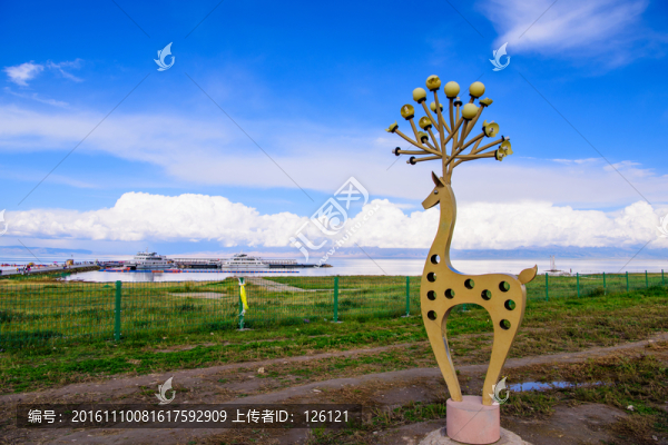 青海湖風(fēng)光