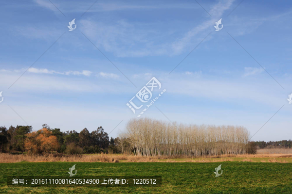 葡萄牙上空的綠色原野和森林的藍(lán)天