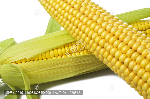 新鮮玉米接近白色