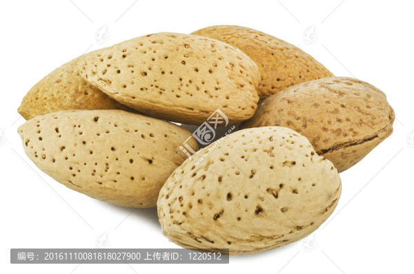 白杏仁上的杏仁