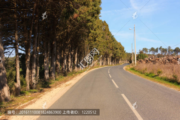 空蕩蕩的道路，樹木和藍(lán)天