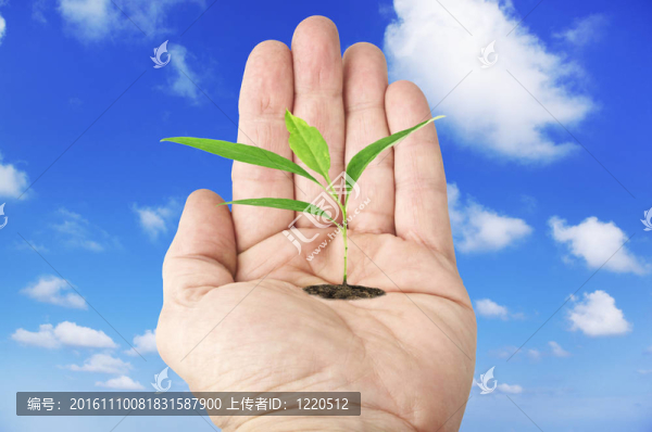 在天空背景下與植物一起張開(kāi)手-匯圖網(wǎng) www.fosd68.com 在天空背景下與植物一起張開(kāi)手