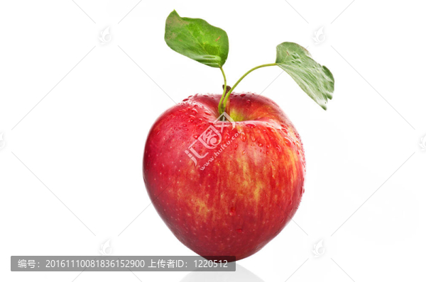 紅色的蘋果和白色的葉子