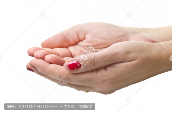 美麗女人的手。白色隔離