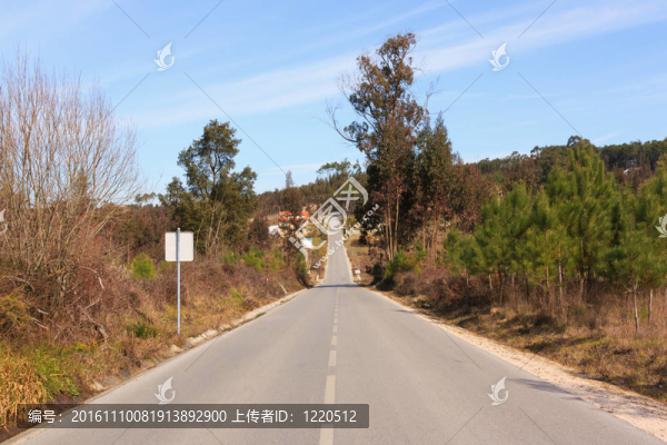 柏油路到山頂；周圍的樹林