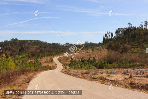 柏油路到山頂；周?chē)臉?shù)林